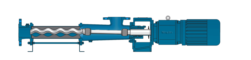 Direct connected progressive cavity pump structural drawing