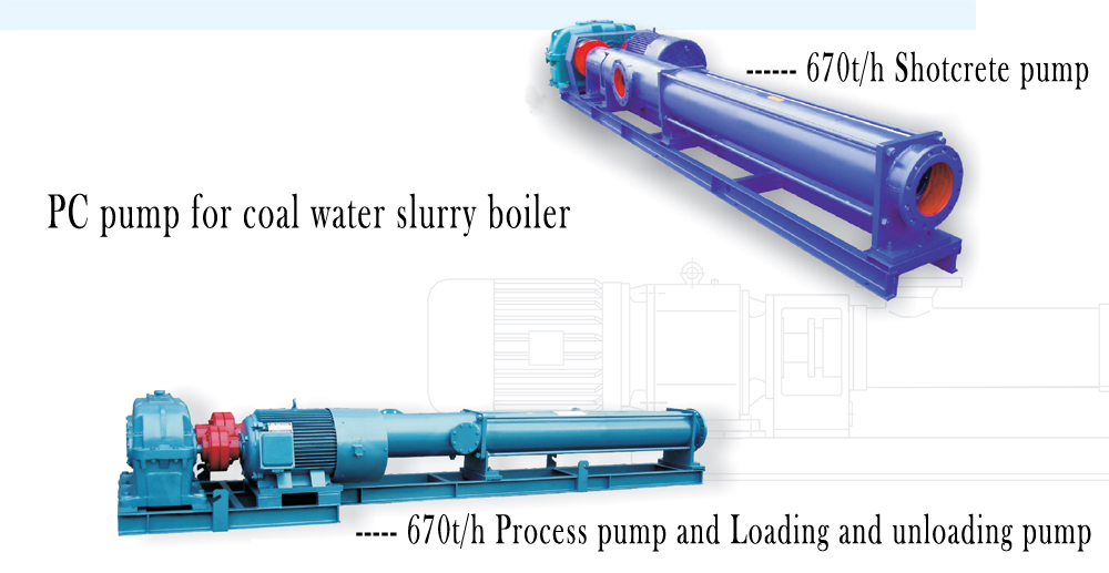 Coal water slurry progressive cavity pump