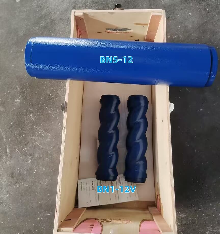 BN1 12V and BN5 12 Stators